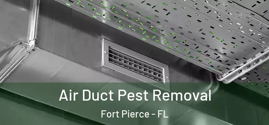 Air Duct Pest Removal Fort Pierce - FL