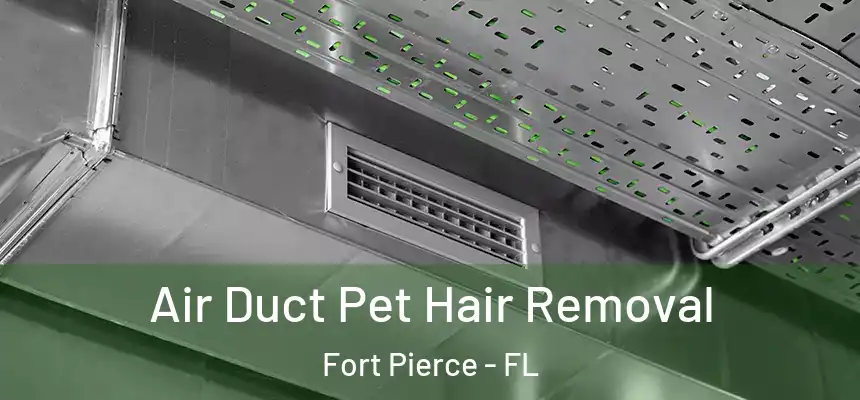  Air Duct Pet Hair Removal Fort Pierce - FL