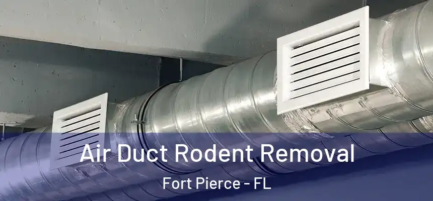 Air Duct Rodent Removal Fort Pierce - FL