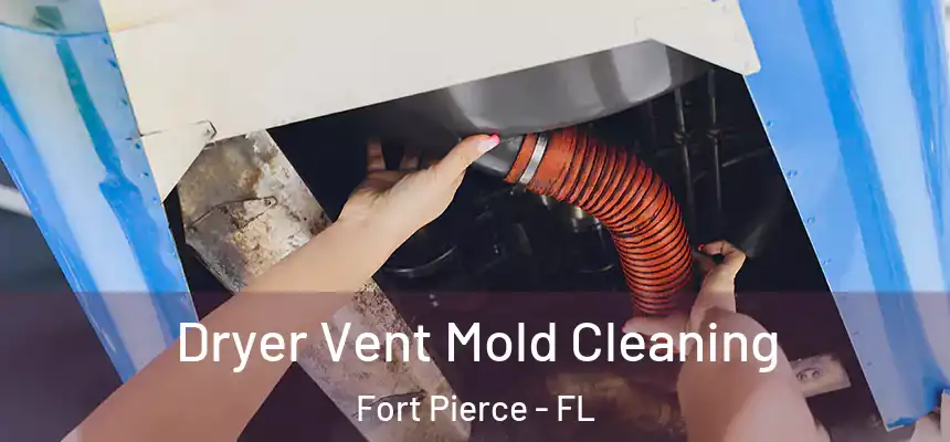 Dryer Vent Mold Cleaning Fort Pierce - FL