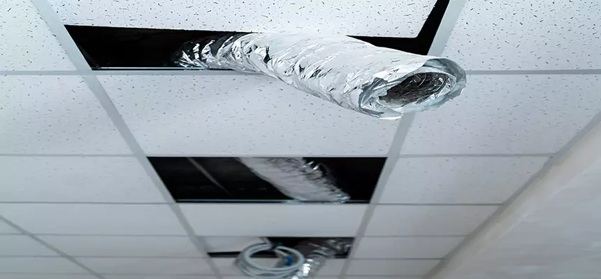 Our Air Duct Pet Hair Removal Services in Fort Pierce, FL