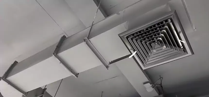 Our Pest Removal From Ducts Services in Fort Pierce, FL