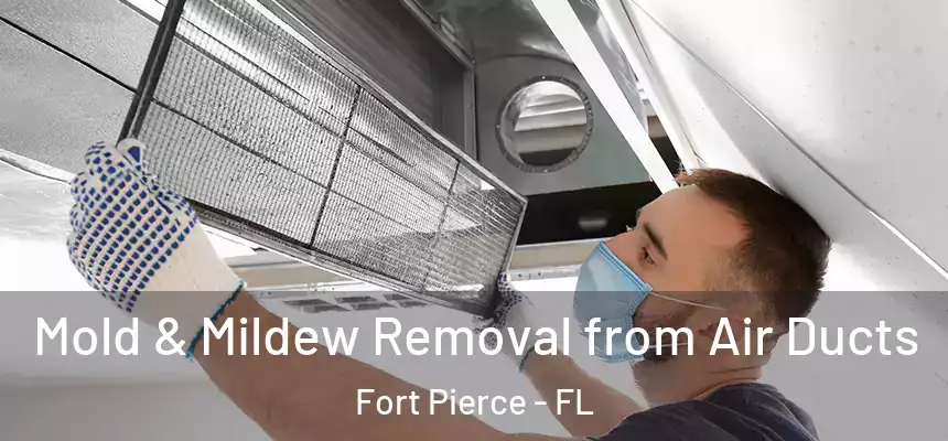 Mold & Mildew Removal from Air Ducts Fort Pierce - FL
