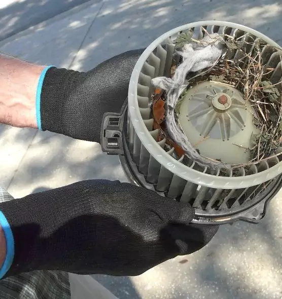 About Air Duct Mice Removal in Fort Pierce, FL