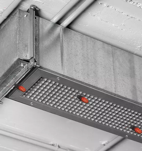 Affordable Insect Removal from Air Ducts in Fort Pierce, FL