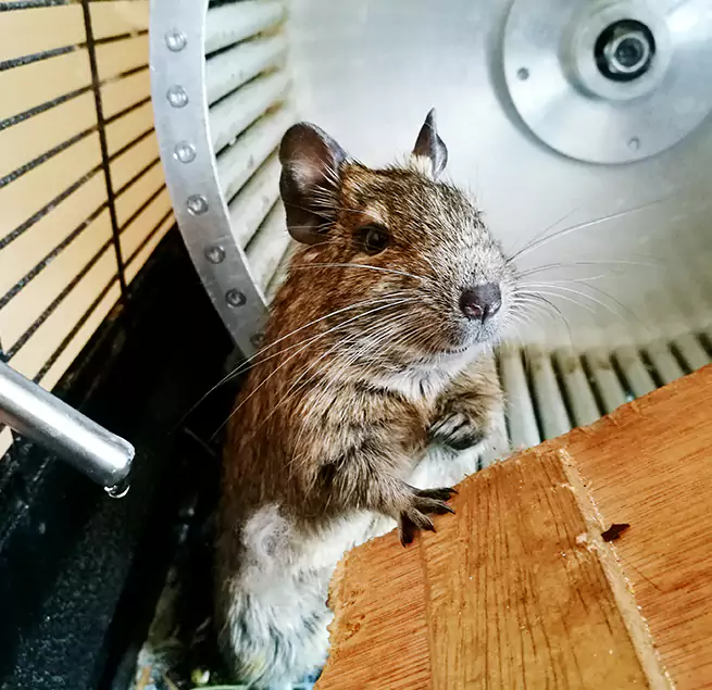 Why Homeowners & Businesses Trust Us Fort Pierce, FL