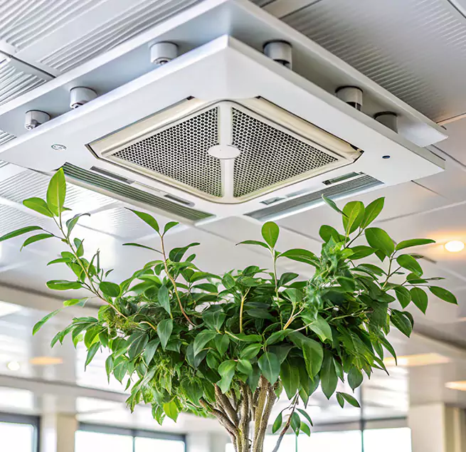 Why Homeowners & Businesses Trust Us in Fort Pierce, FL?